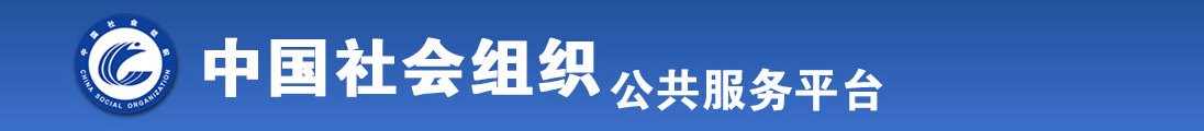 被插逼全国社会组织信息查询